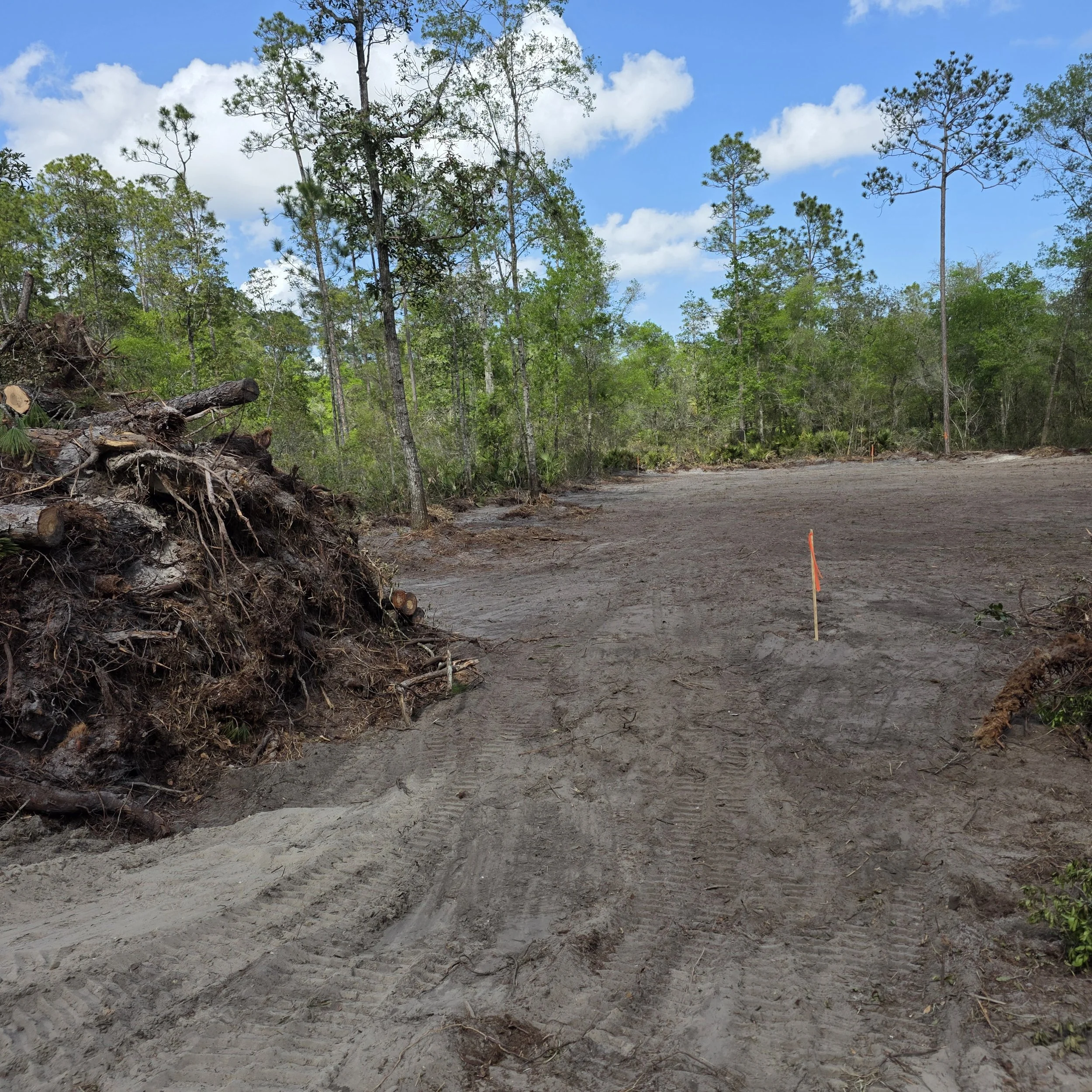 Removed trees, stumps, and roots piled beside a nearly completed Interlachen homesite