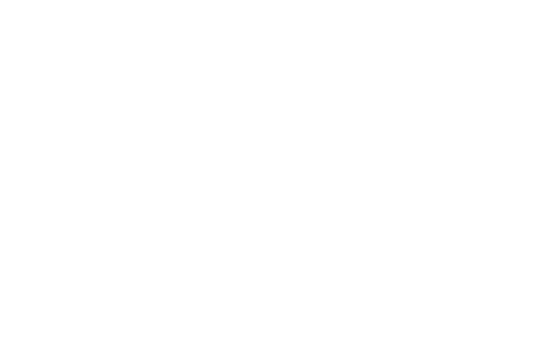 OFFICIAL+SELECTION+-+Fort+Myers+Film+Festival+-+2020.webp