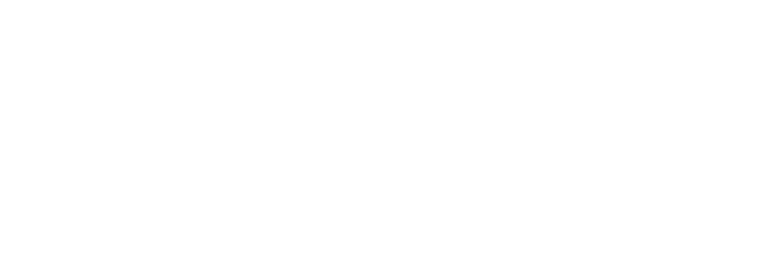 newportfilm-15-years-logowhite.png