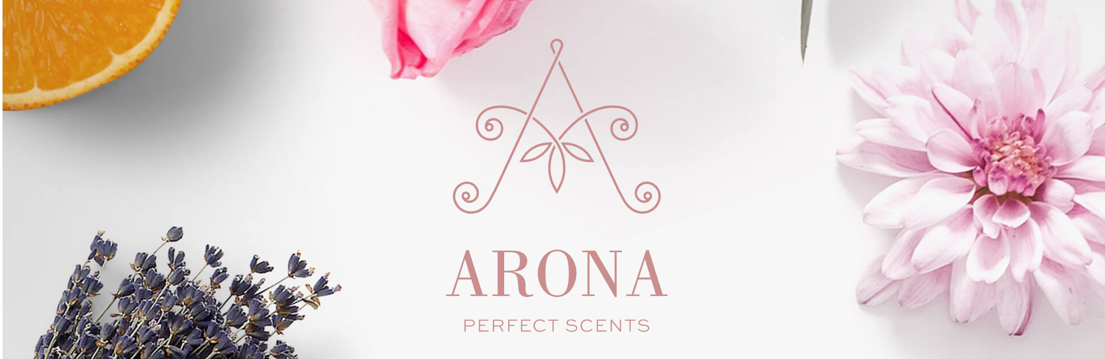 ARONA &amp; Monroe Recruitment: A Natural Partnership Growing in Dublin Airport 