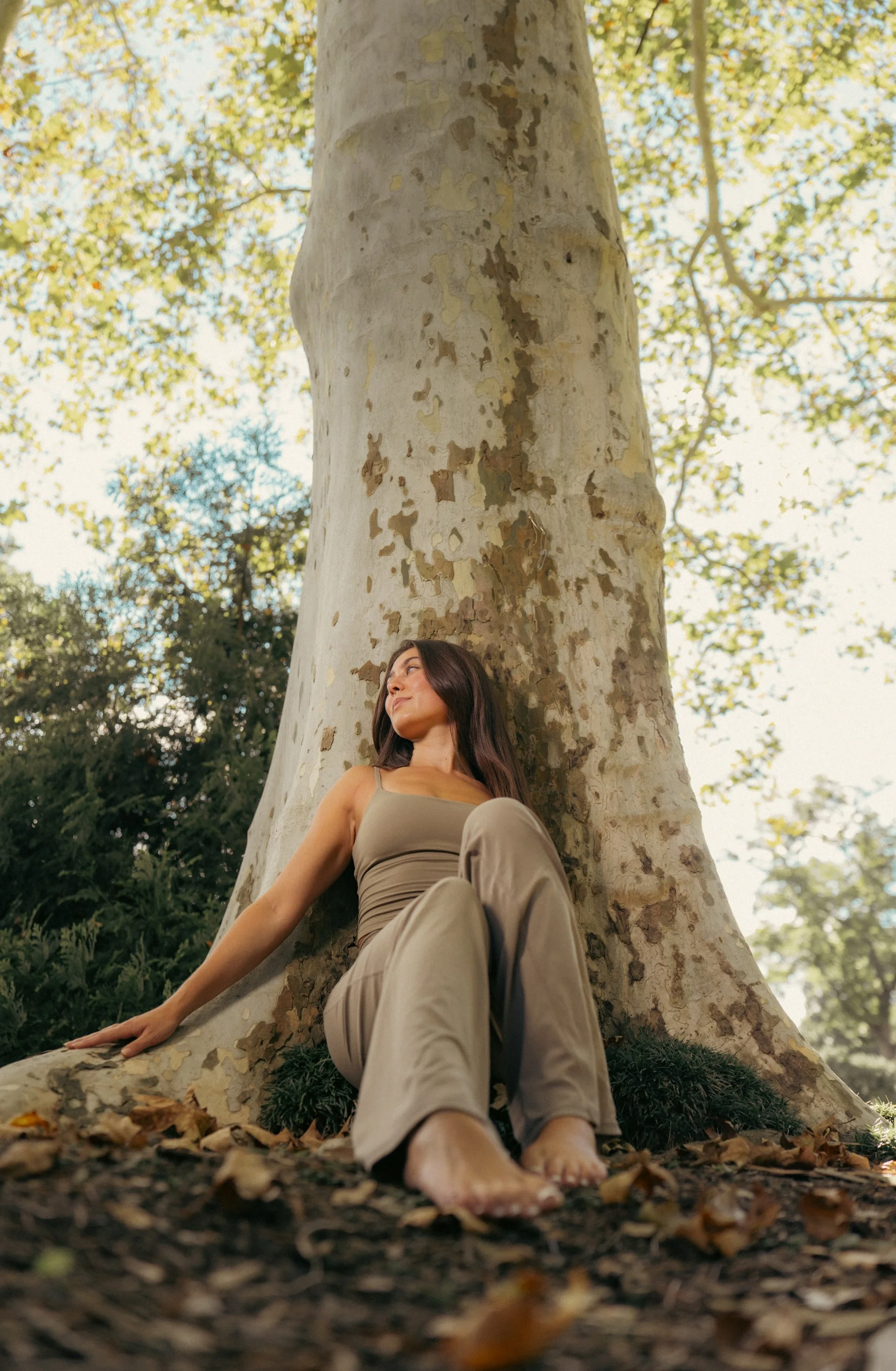 A woman sitting under a large tree with peeling bark, looking up thoughtfully against a backdrop of green foliage and sunlight.