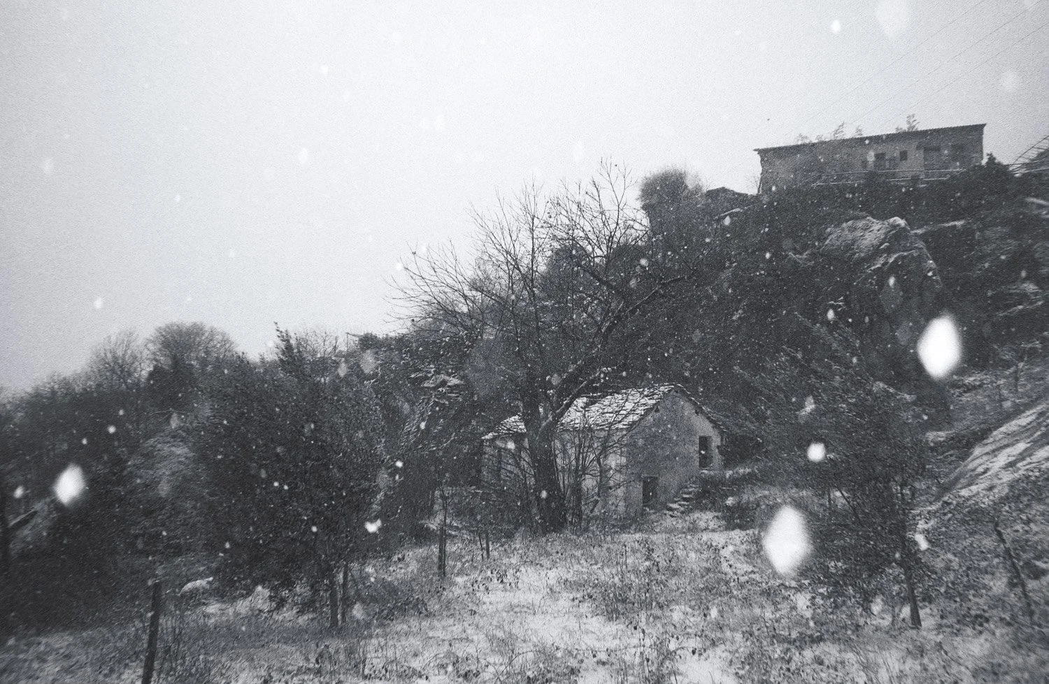 stone hut and tree under snowfall with brightly lit snowflakes