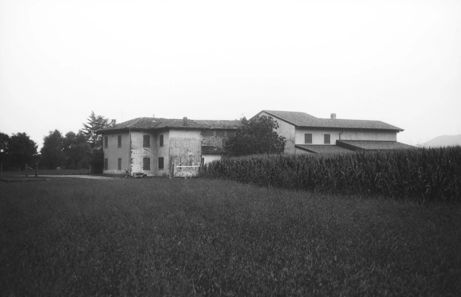 DSCF9919.jpg