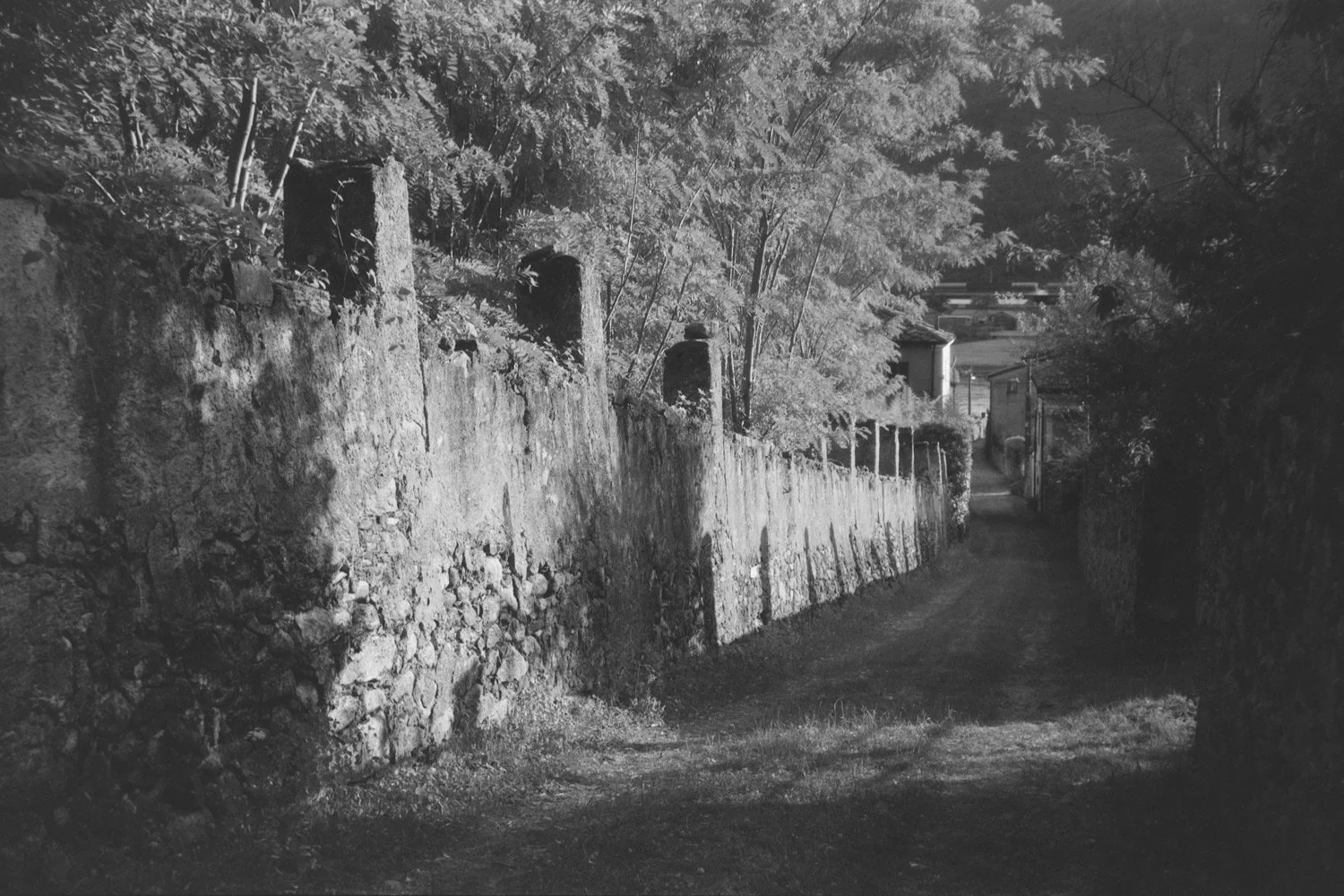 DSCF9895.jpg