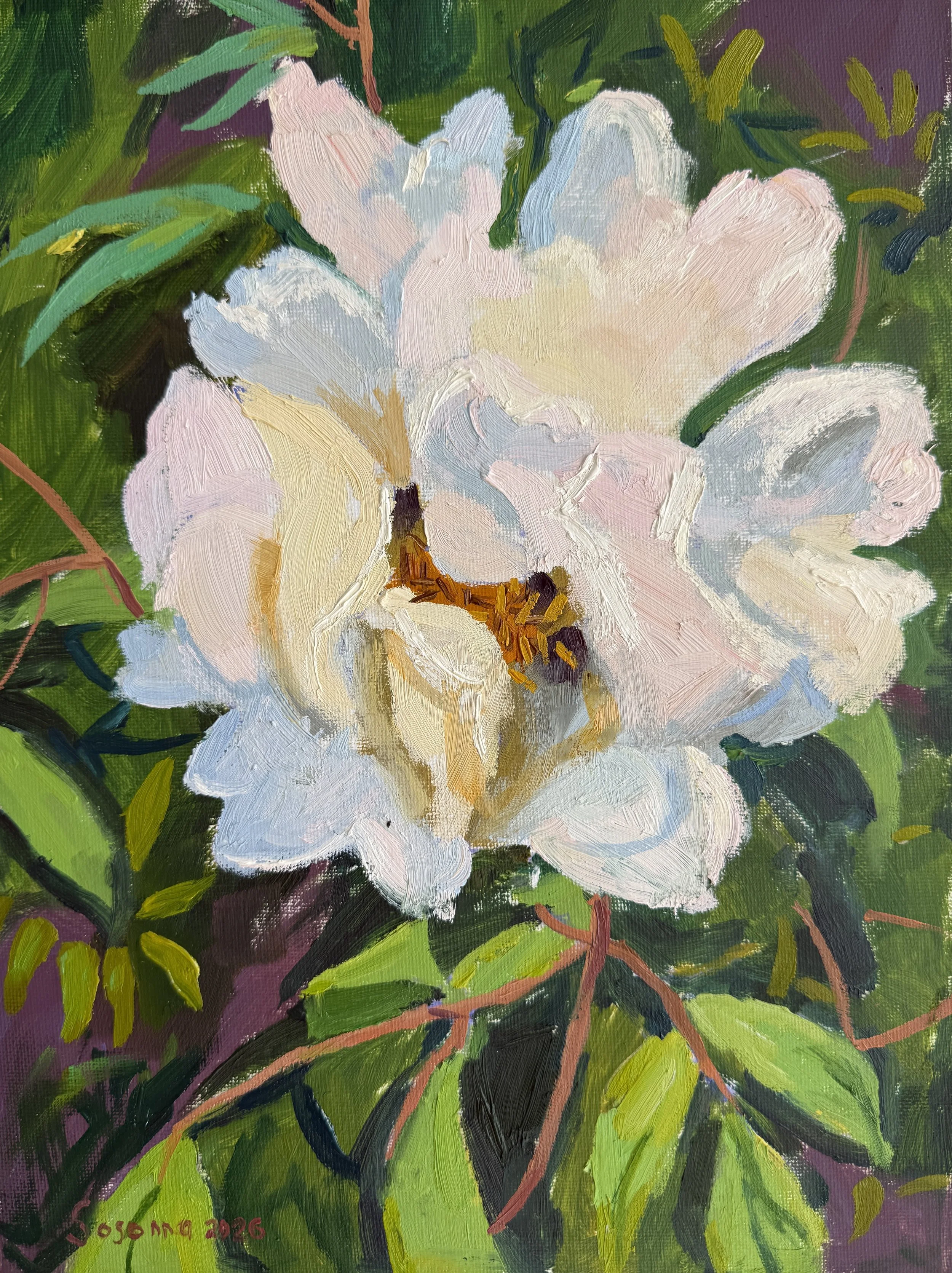Still Life & Florals