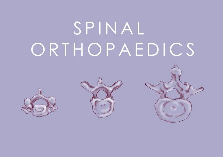 3 Vertebrae Spinal Orthopaedics - 730x515.jpg