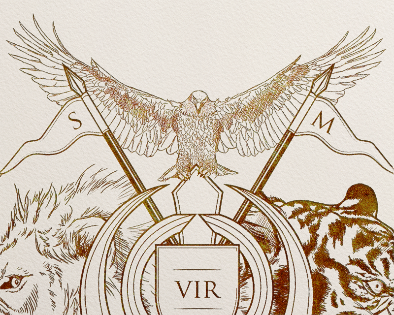 Falcon Close-up Small.png