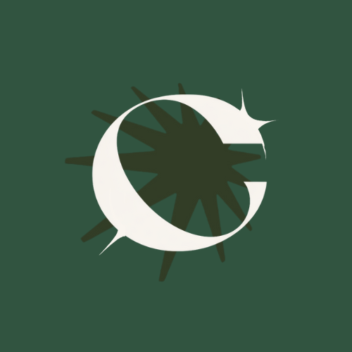 Full Brand, Website, and Marketing