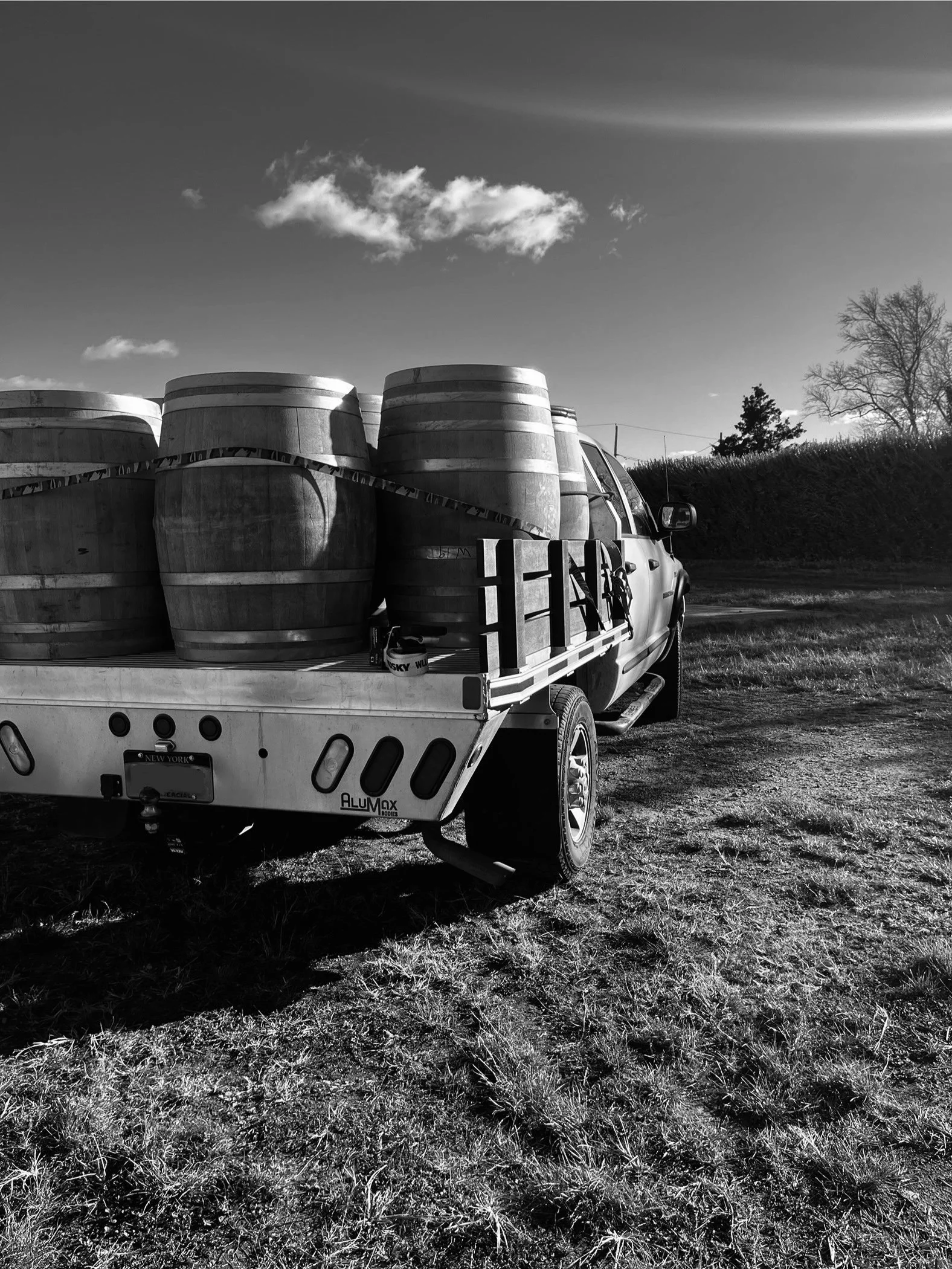 A pickup truck carrying several large wooden wine barrels in an open field with a few trees and a partly cloudy sky.