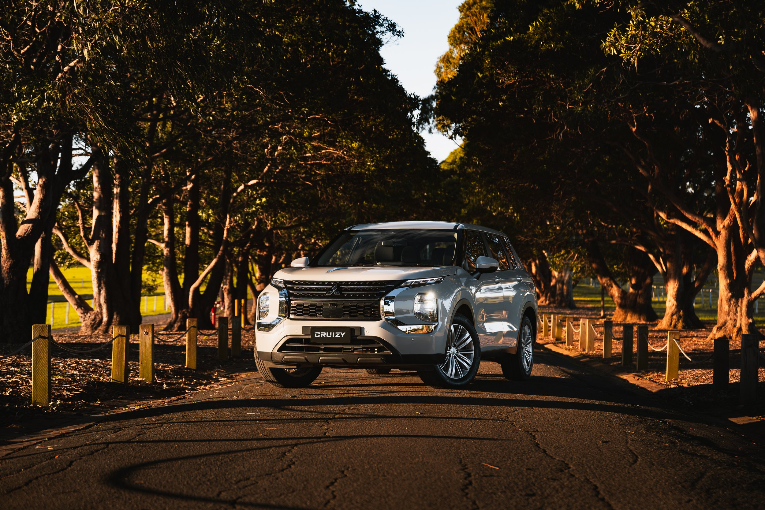 Silver SUV parked on a paved road surrounded by trees with sunlight filtering through the leaves.