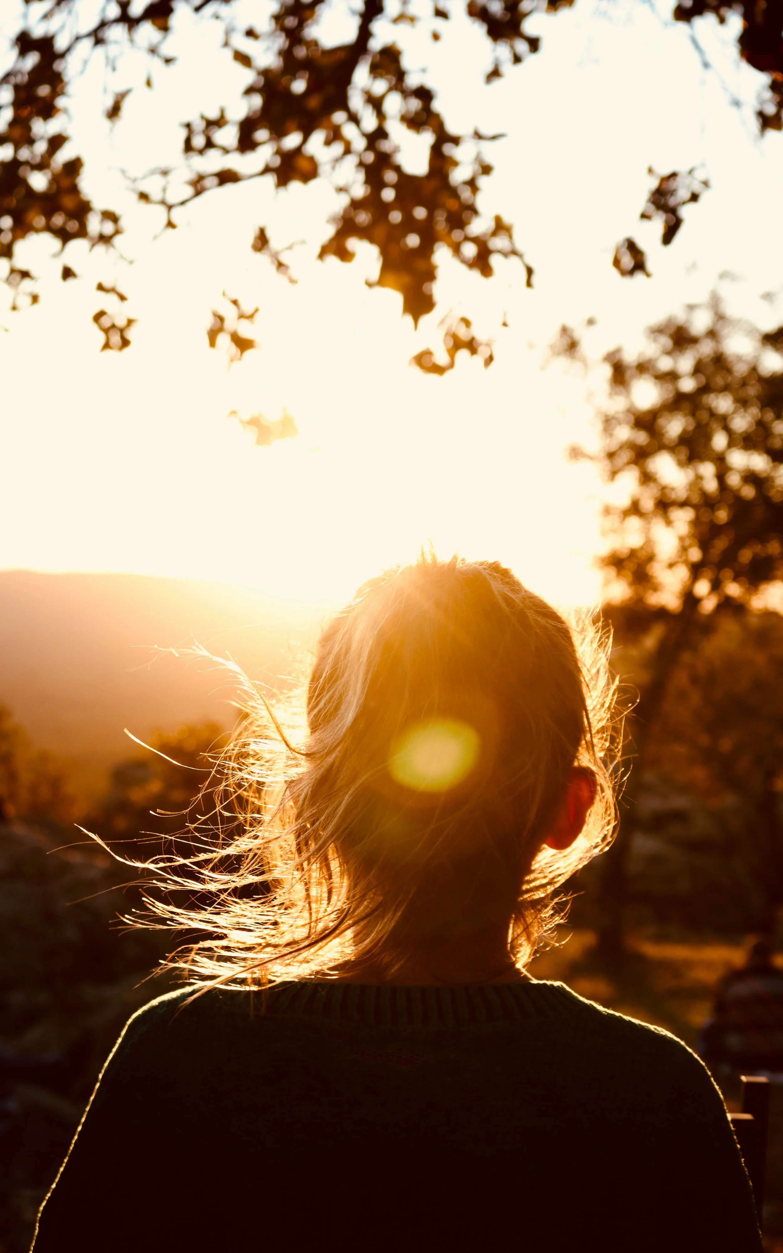 Woman with windblown hair viewed from behind in warm golden light, representing whole-body wellness from full-spectrum infrared sauna sessions