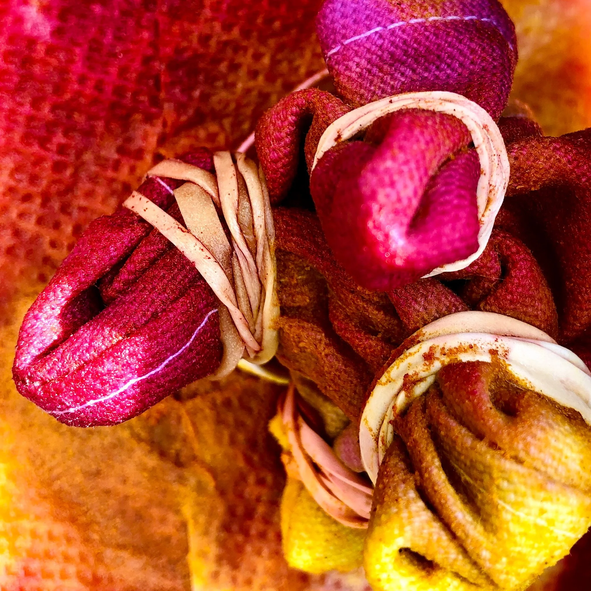 Close-up of a cluster of twisted, colorful rubber bands with red, yellow, and white hues.