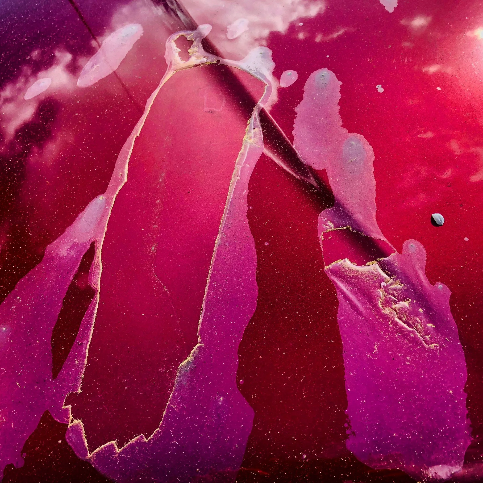 Close-up of peeled pink and purple fruit or vegetable skin on a red surface