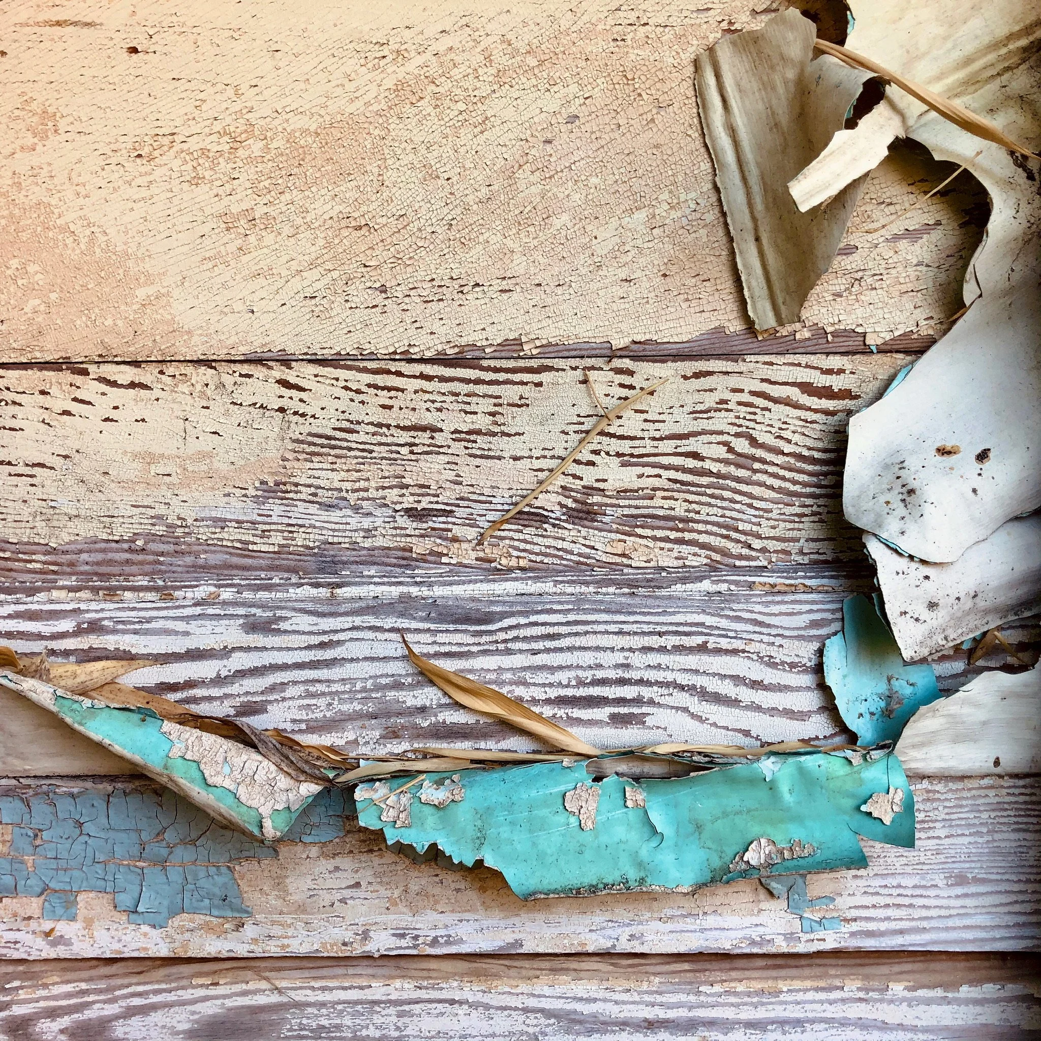 Close-up of weathered, peeling paint on horizontal wooden planks with dried leaves and torn paper debris.