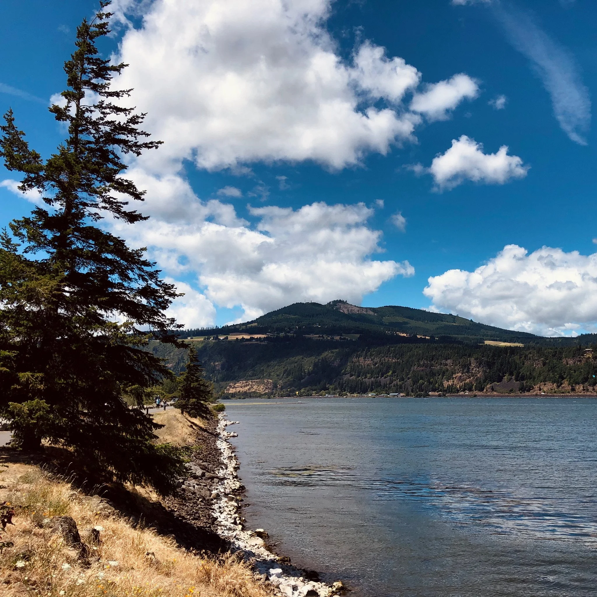 Scenic view of a lake with a rocky shoreline, pine trees, green hills, and a mountain under a partly cloudy sky.