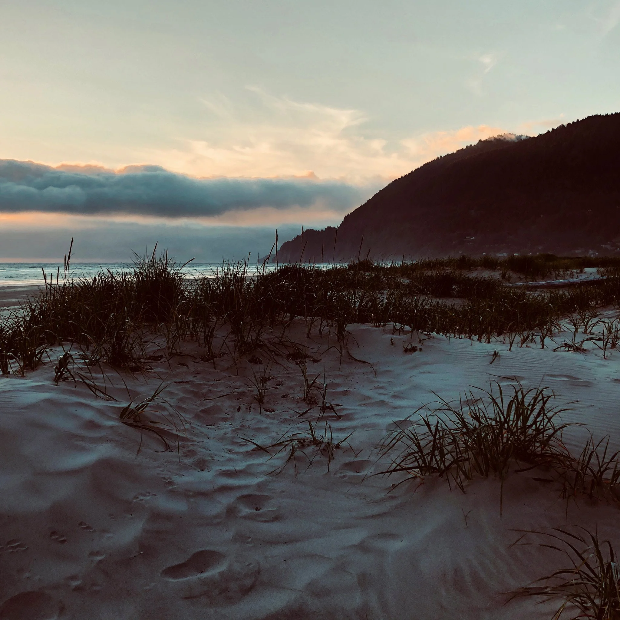 Beach with sand dunes and grass, ocean, and a cloudy sky at sunset or sunrise.
