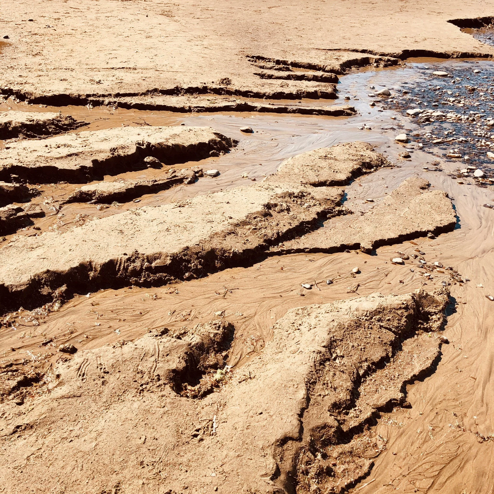 Close-up of muddy, cracked desert ground with shallow water flowing over the surface, small rocks scattered throughout.