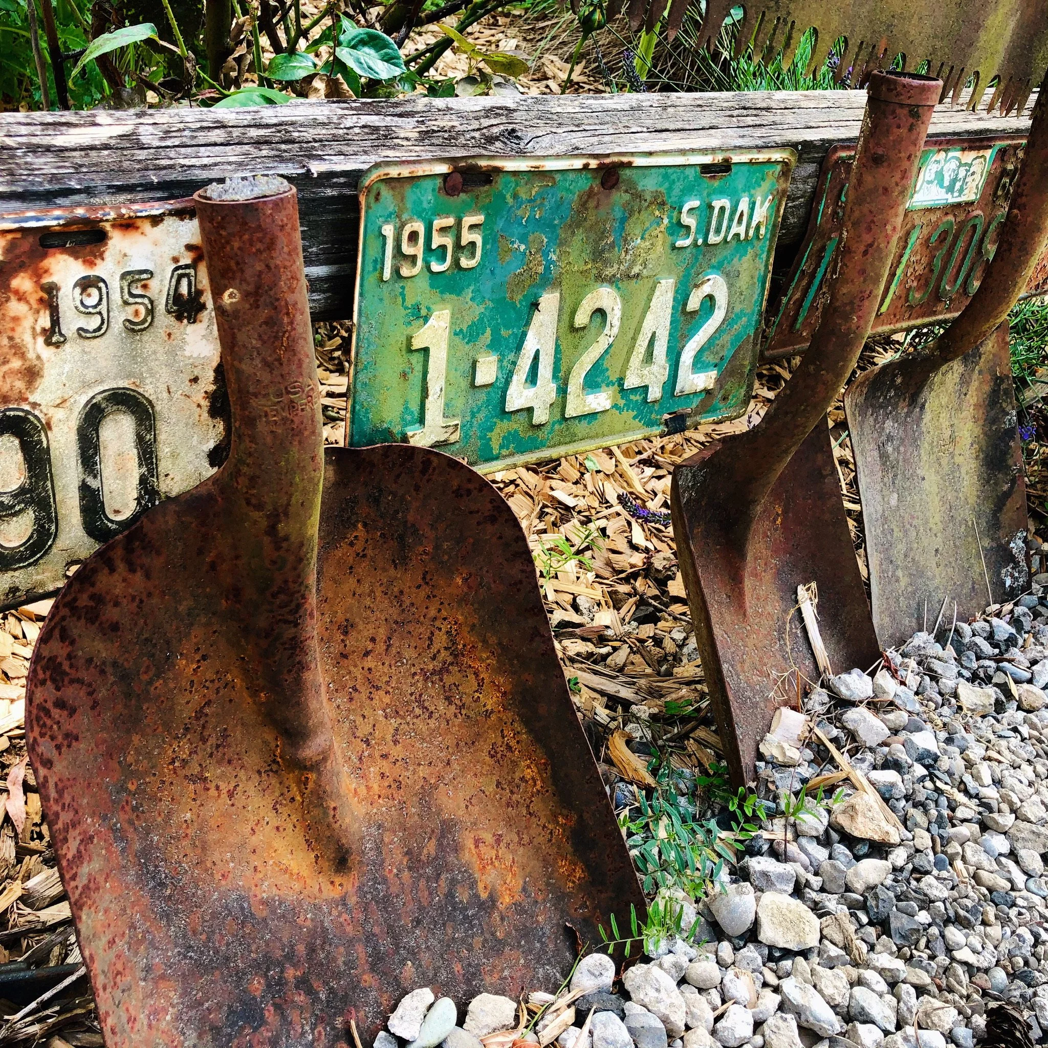 Old rusted shovels and vintage license plates leaning against a weathered wooden fence in a natural setting.