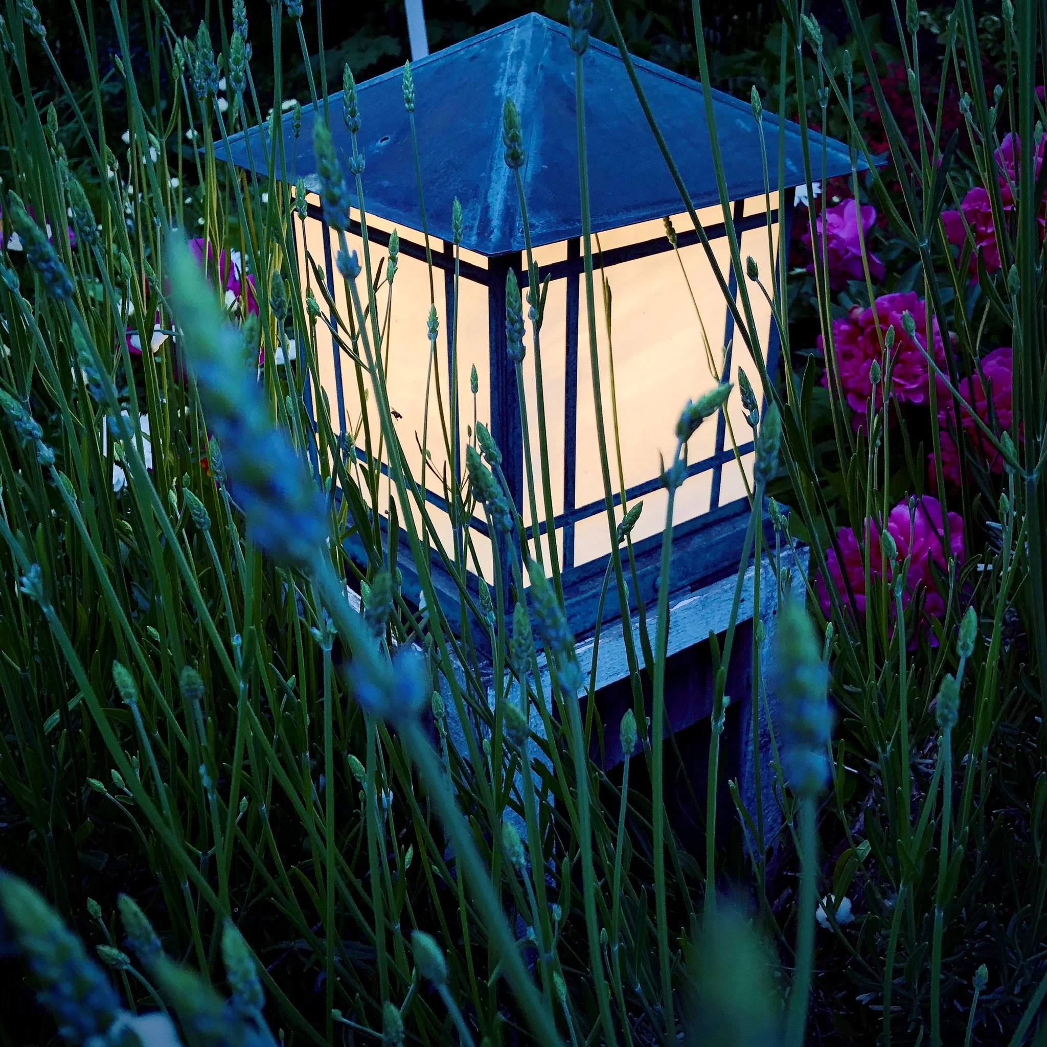 A decorative lantern with a glowing light inside, surrounded by tall green grass and purple flowers at dusk.