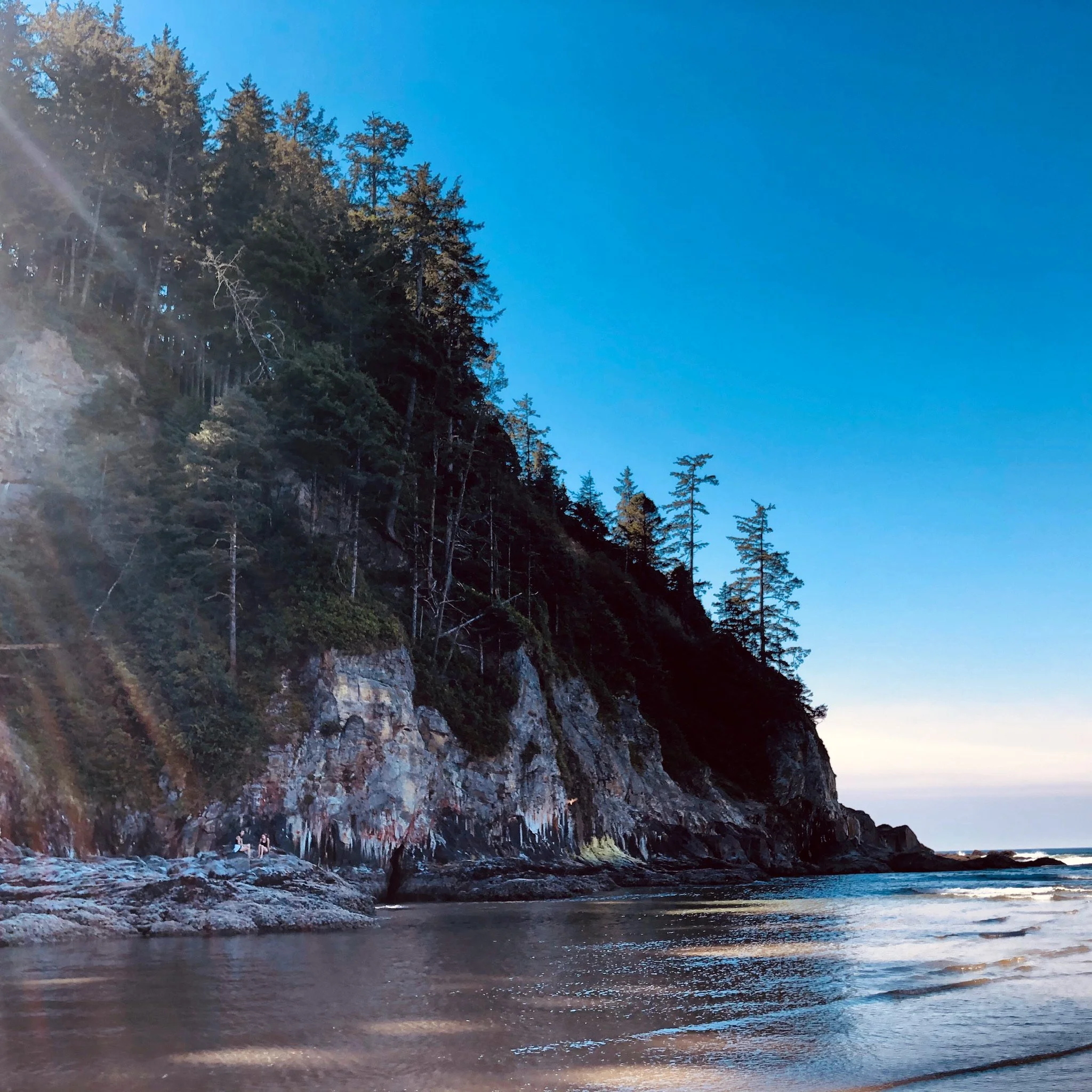 A coastal scene with a rocky cliff covered in trees, facing the ocean under a clear blue sky, with sunlight casting diagonal rays.