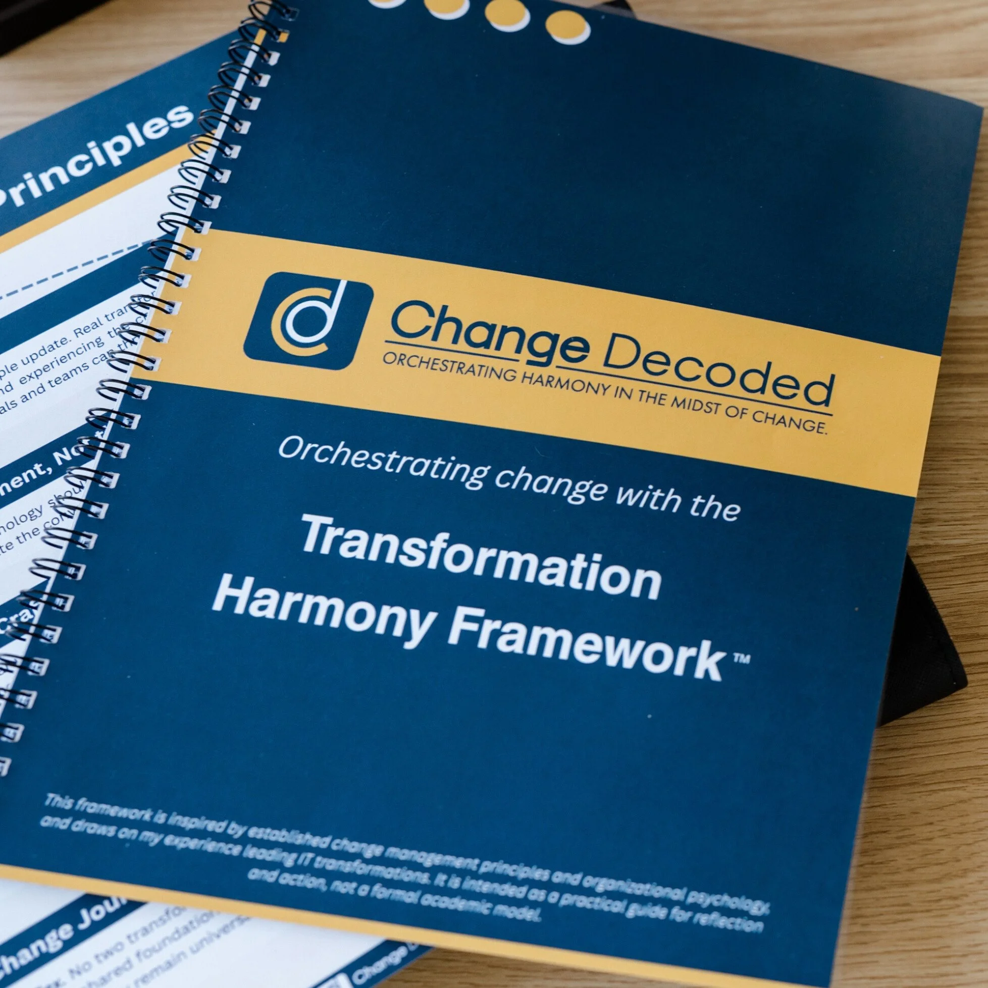 Transformation Harmony Framework Workbook