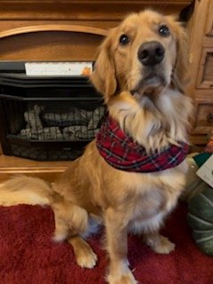 charlie models scarf.jpeg