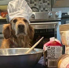 Dog wearing a chef's hat in a kitchen, surrounded by baking ingredients and utensils.