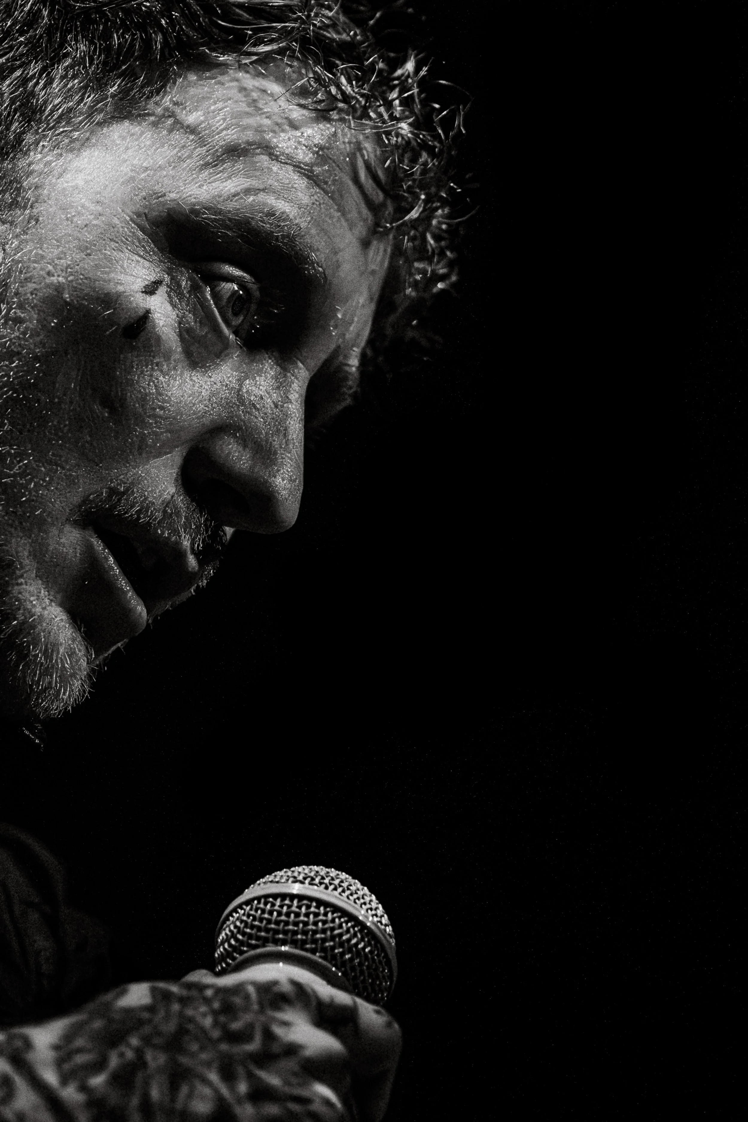 SexPistols_Ogden_AnthonyMartinez.jpg