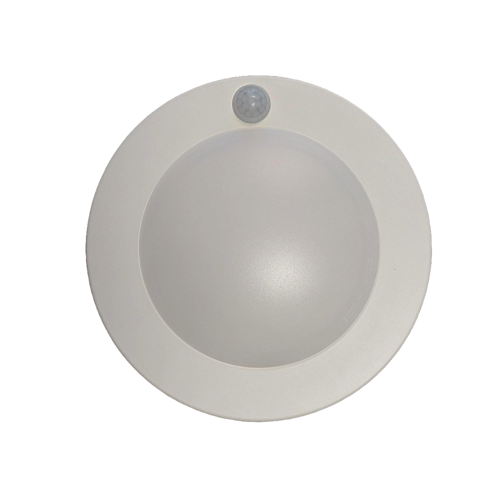 Untitled design (25).png