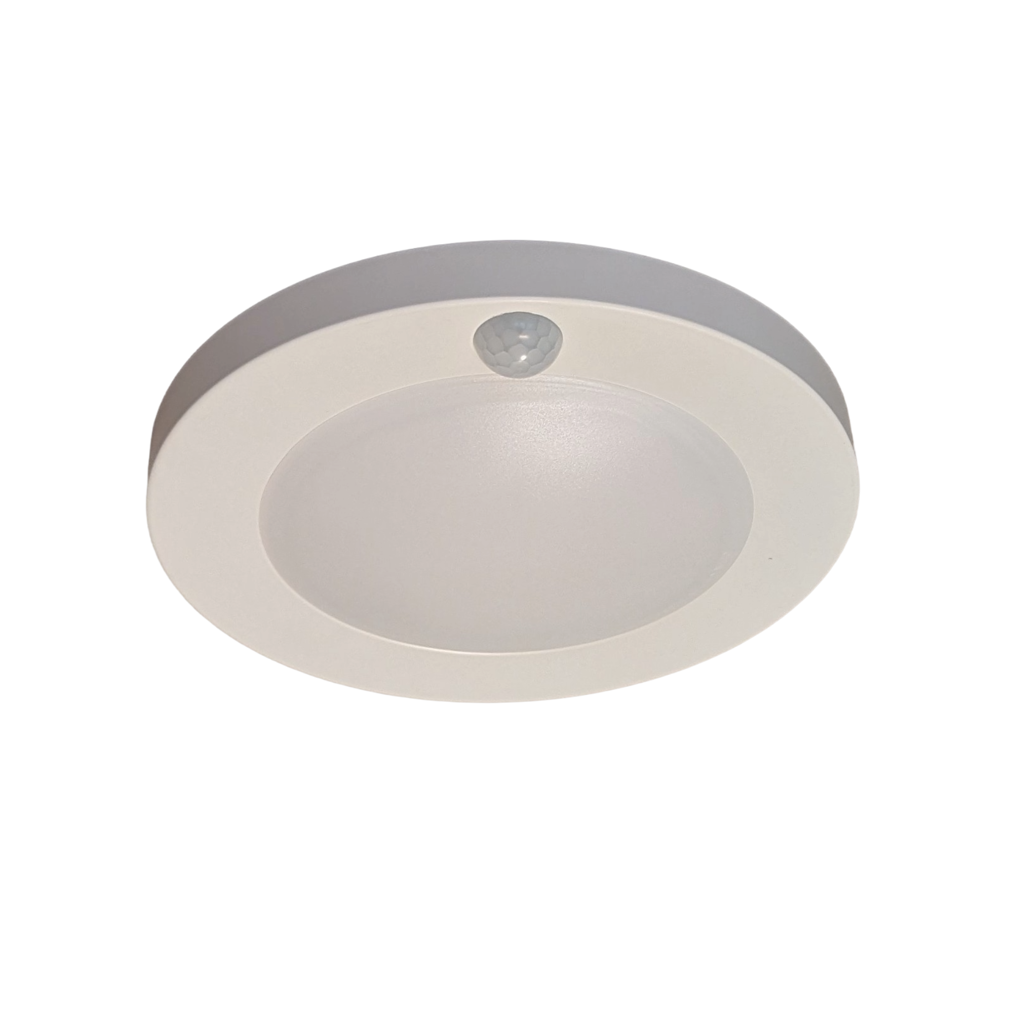 Back Lit Disk with PIR Sensor