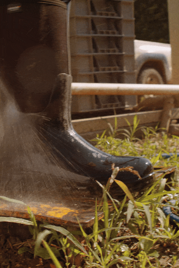 BOGS_GIF_07.gif