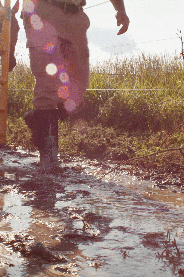 BOGS_GIF_04.gif