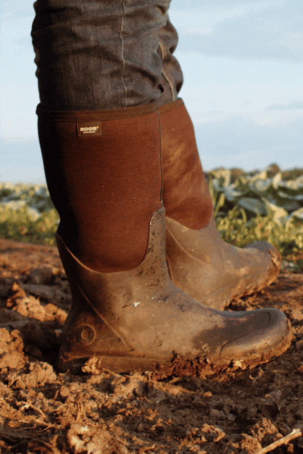 BOGS_GIF_06.gif