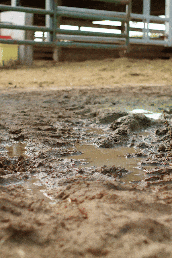 BOGS_GIF_03.gif