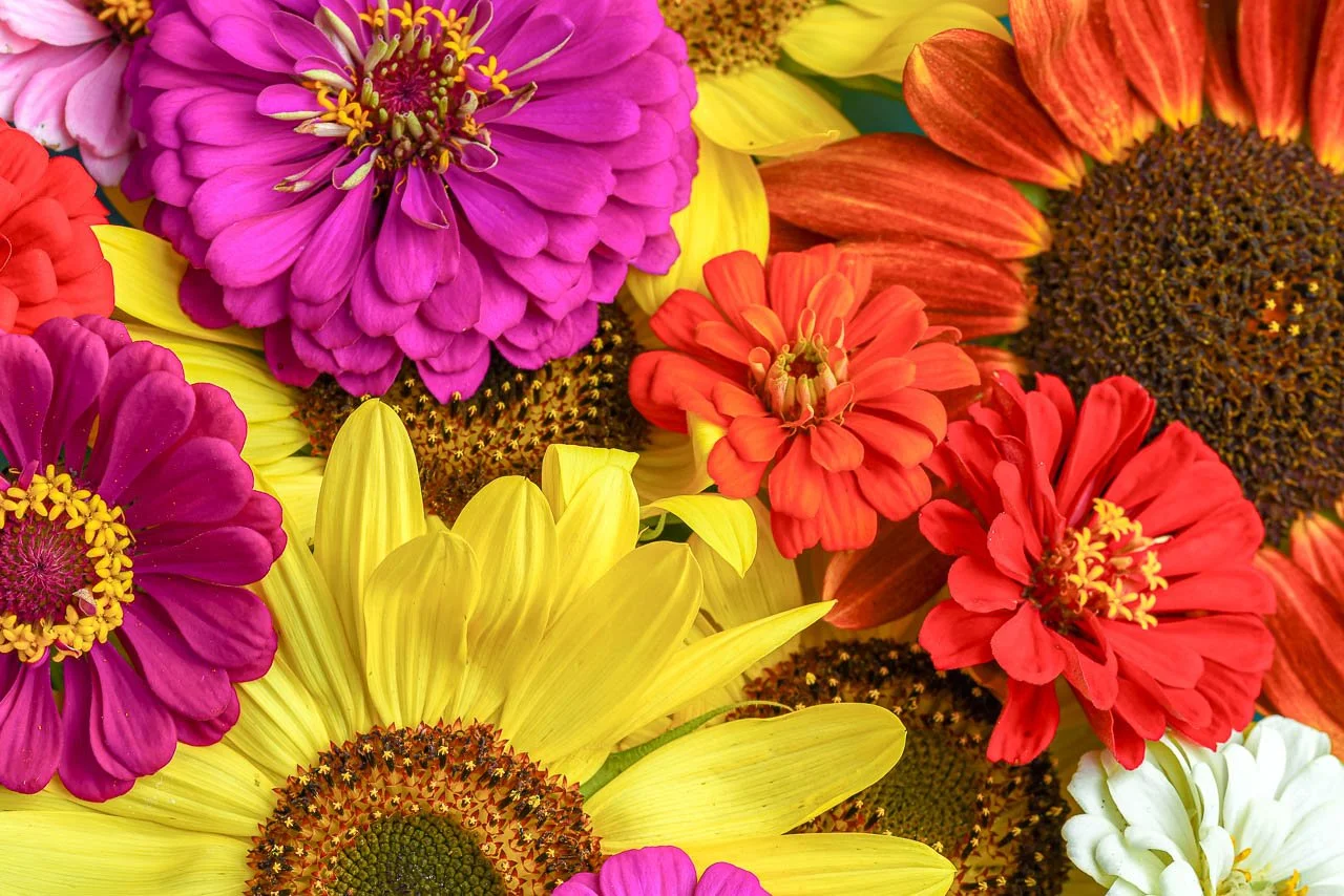 Bucket of Blooms - Grower's Choice