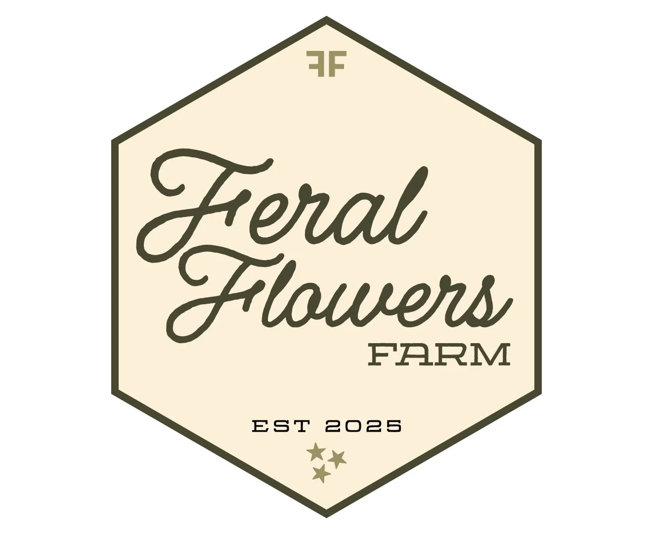 Spring Tulip Bouquet (1 bouquet)