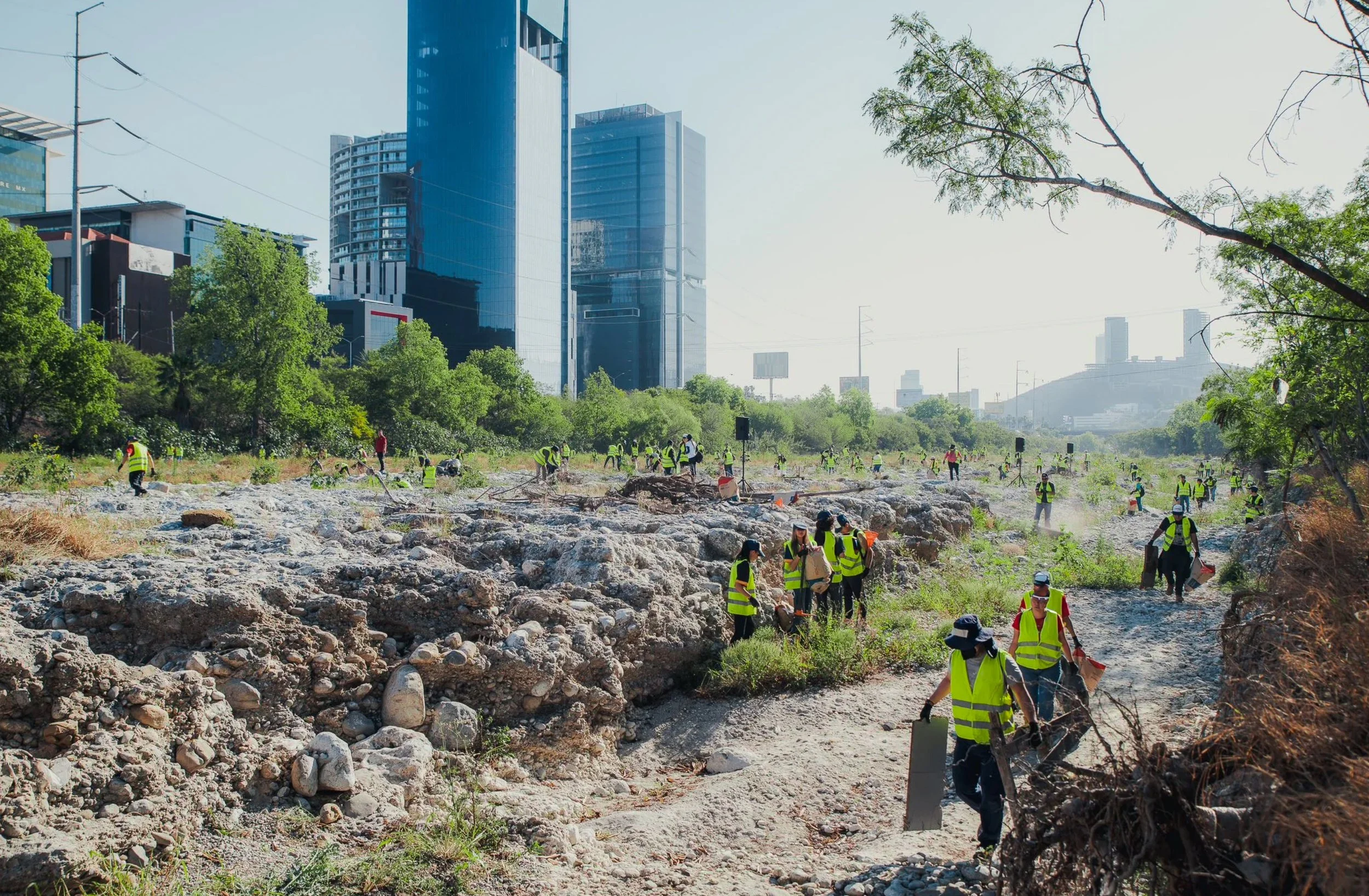 Captura de pantalla 2025-09-07 a la(s) 11.53.43 a.m..jpg