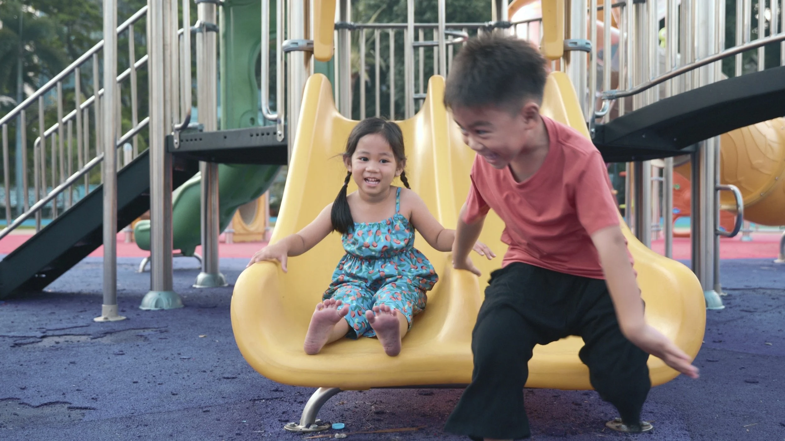 What Is the Primary Brain Biochemistry in the Play System of the Brain?