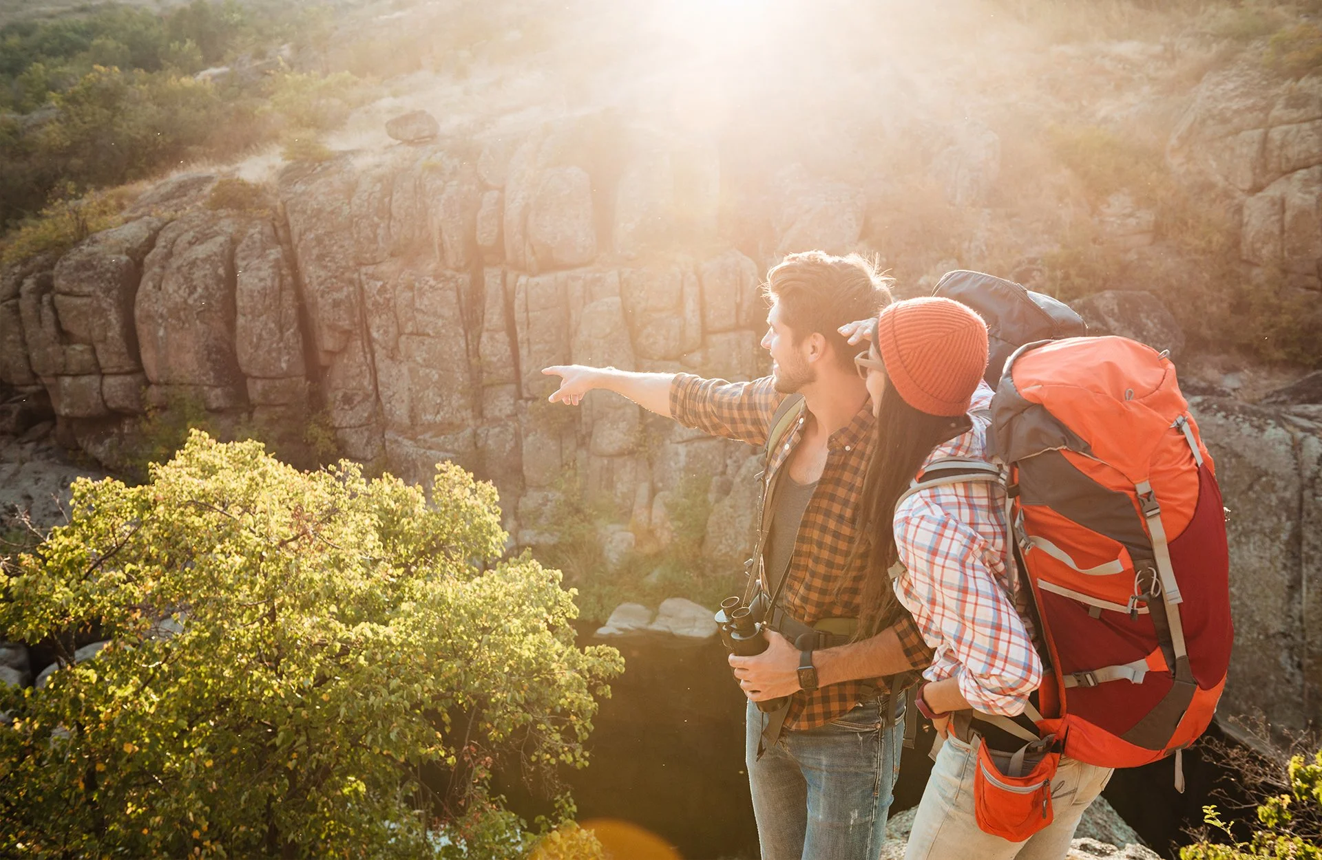 What Is the Primary Brain Biochemistry in the Seeking System of the Brain?