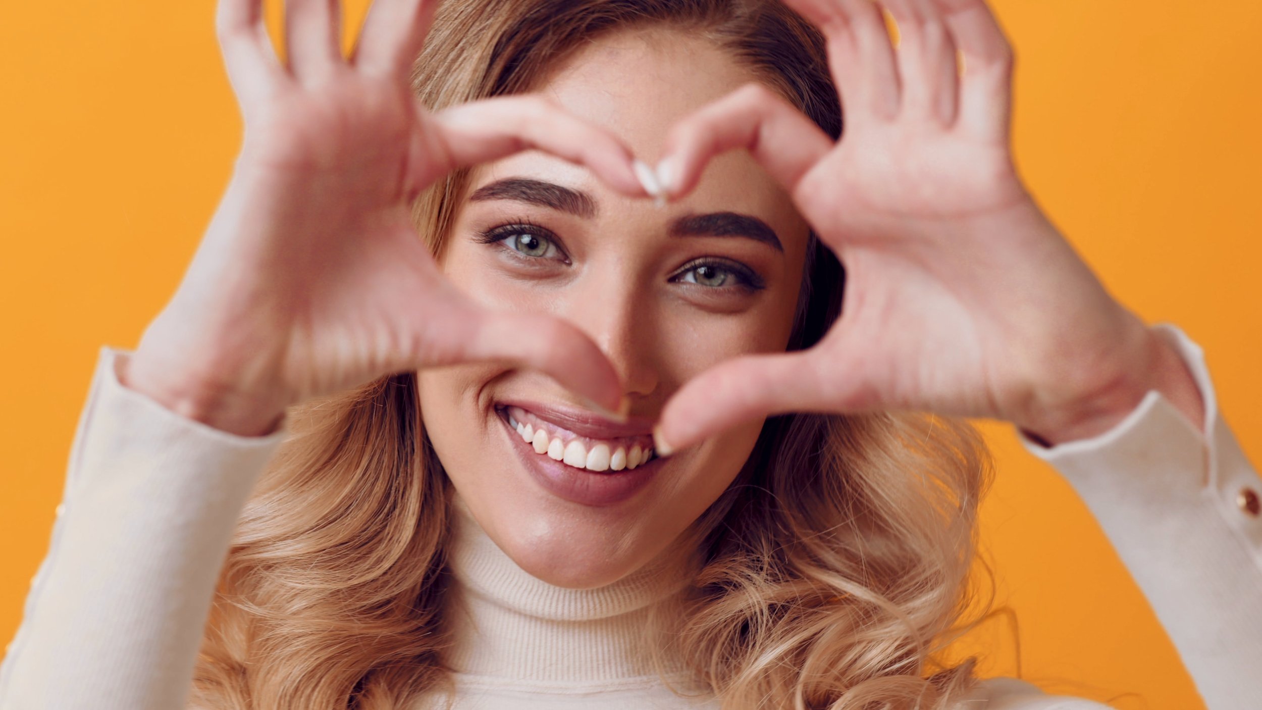 What Emotions Drive the Seeking System in the Brain?