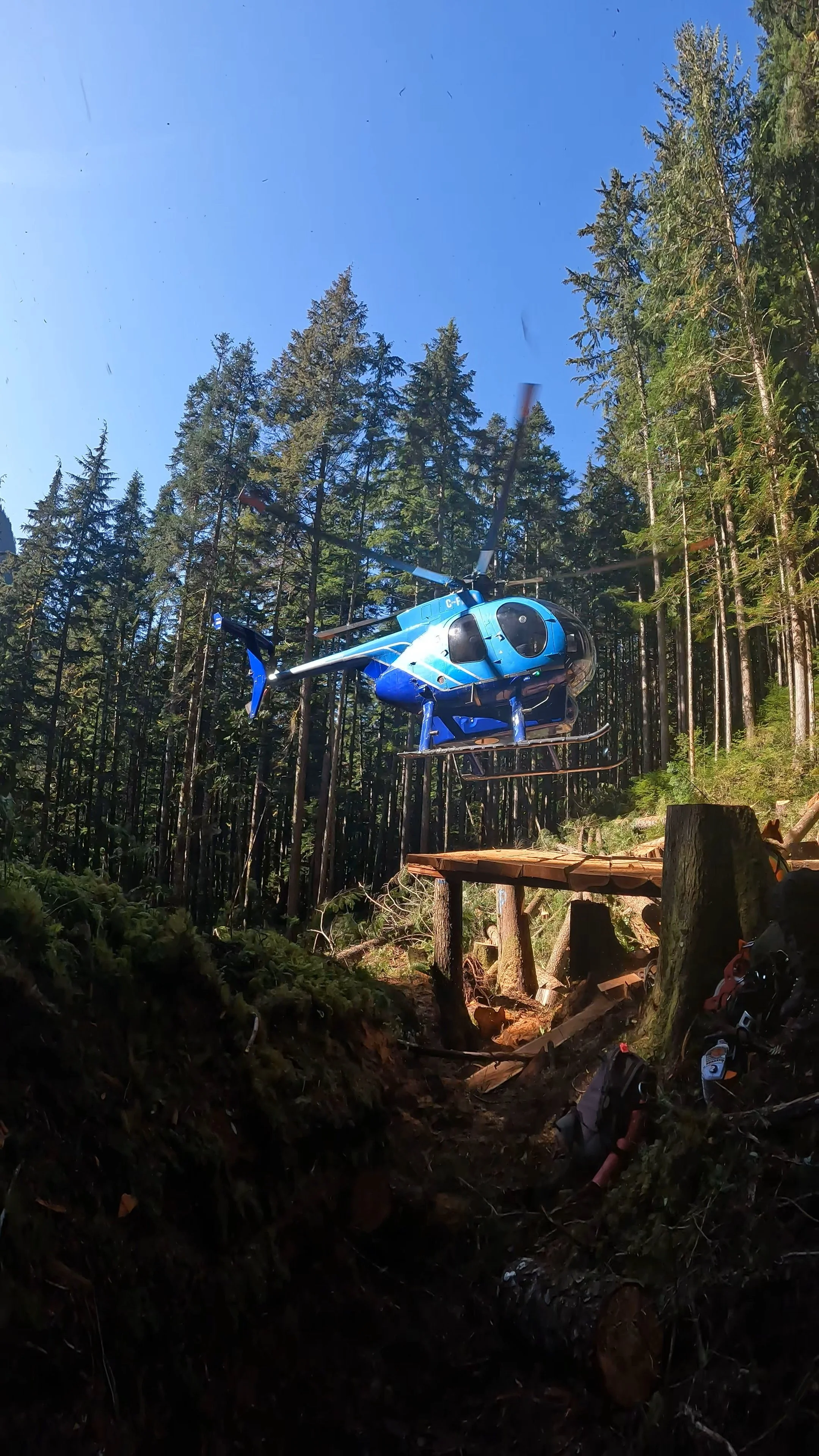 Falling and Specialty Logging