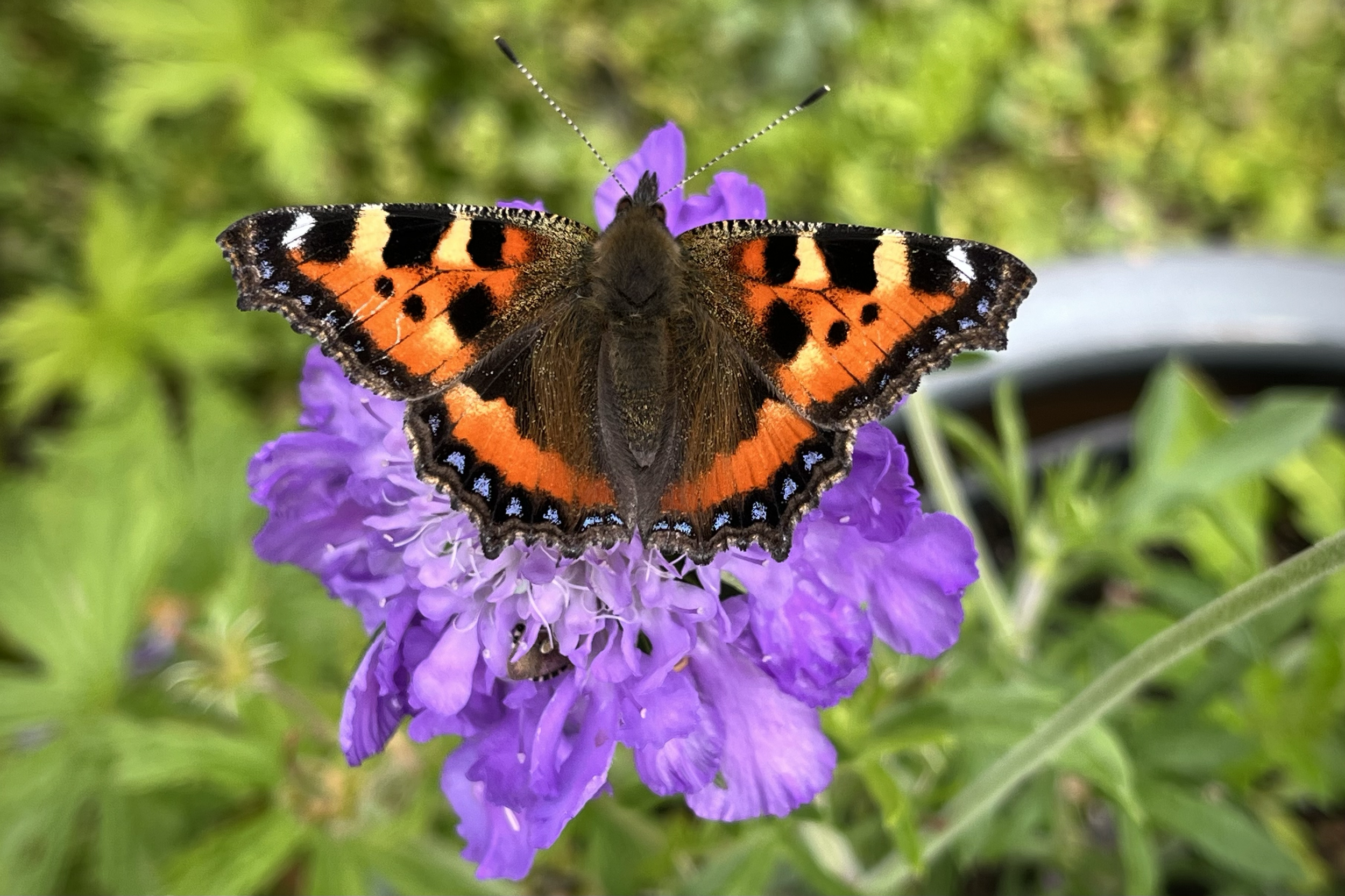 Lessons from a week without news