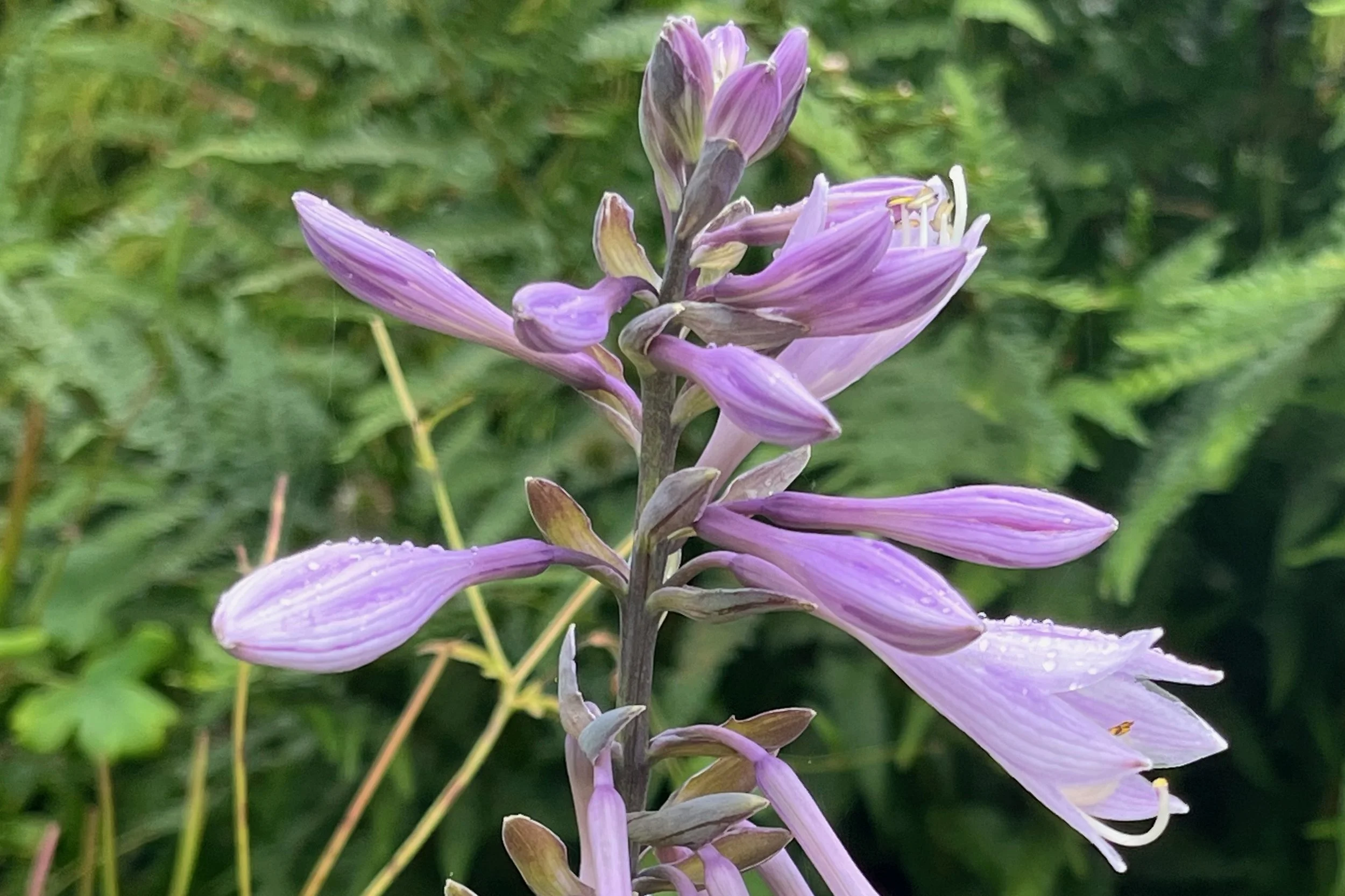 A soft place to land