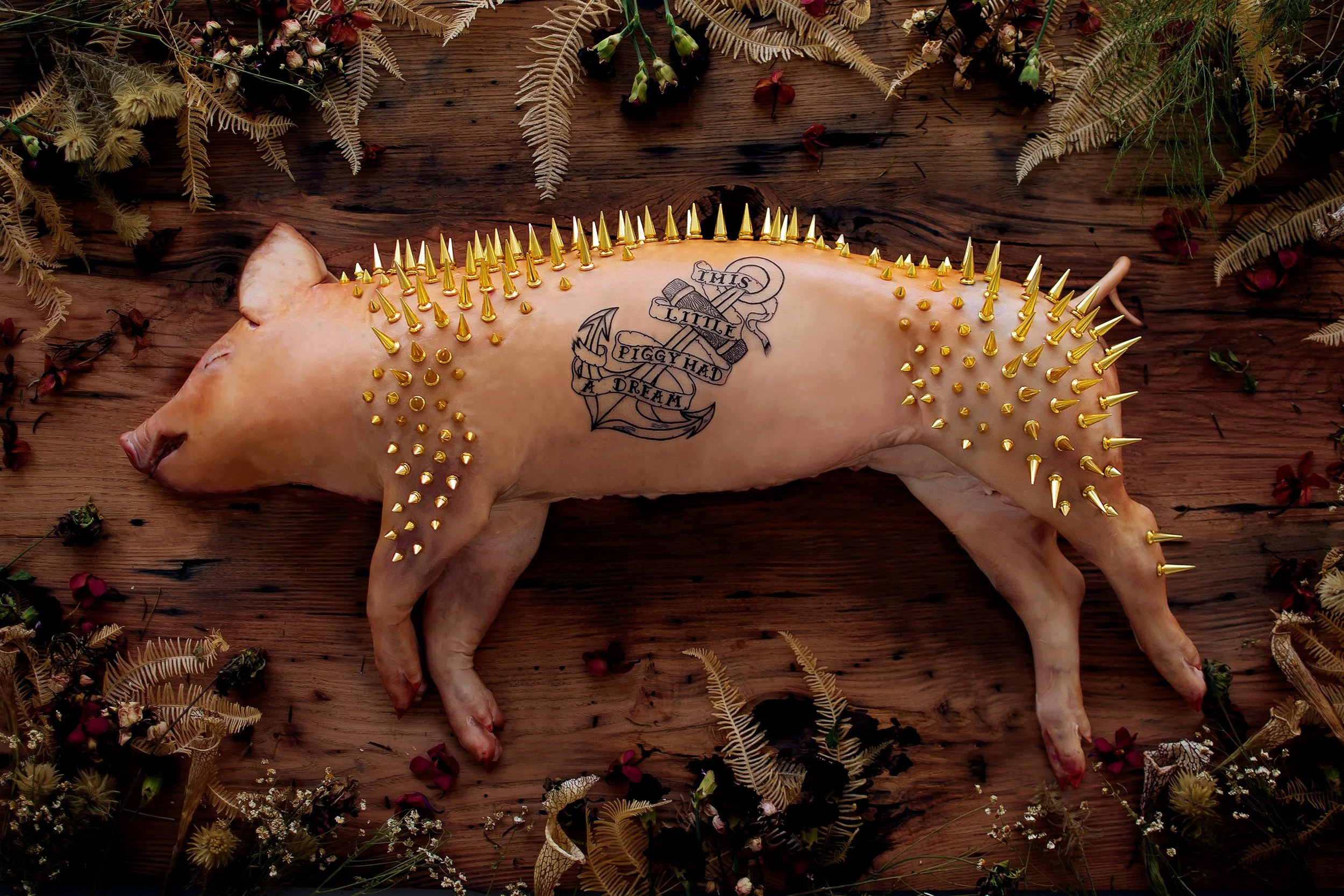 A pig corpse with gold spikes and a tattoo that says 'This little piggy had a dream.' surrounded by dried plants on a wooden surface.