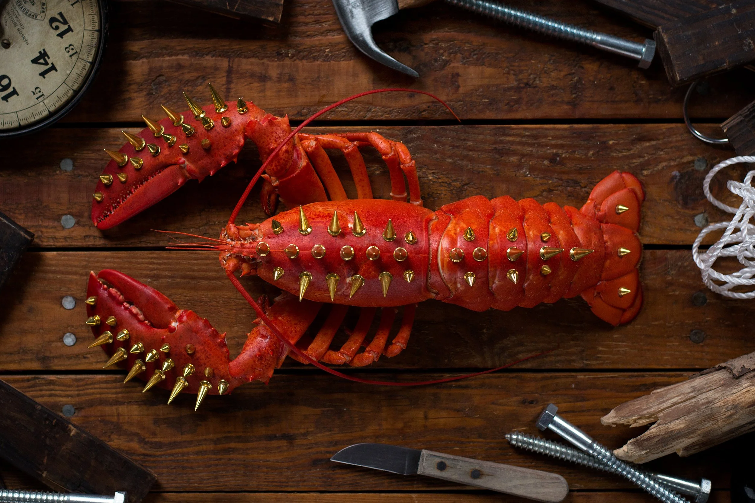 Lobster with gold spikes on its claws and back, placed on a wooden surface surrounded by tools, screws, a knife, and a clock.