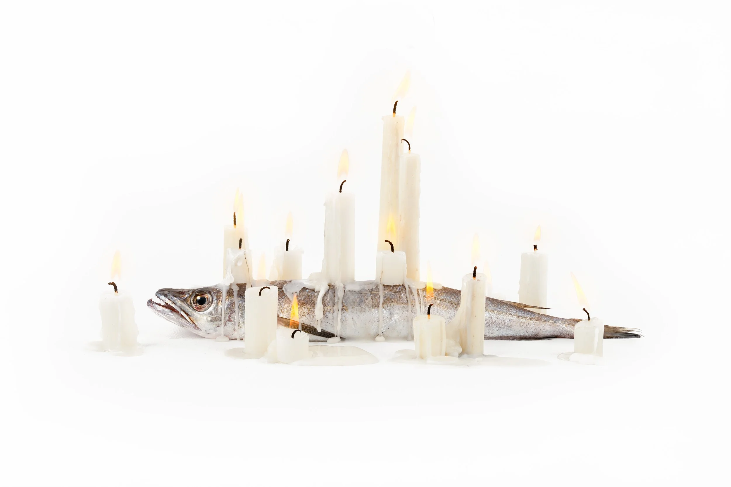 A fish lying on the ground surrounded by white lit candles with melting wax, with some wax dripping onto the fish.