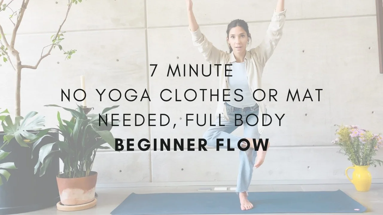 33+Minute+Fast+Pace+Advanced+Flow+%284%29.jpg