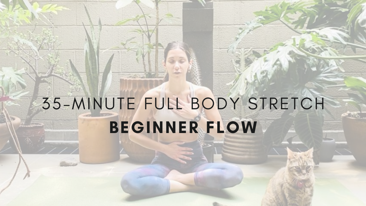 35-minute Full Body Stretch
Beginner Flow