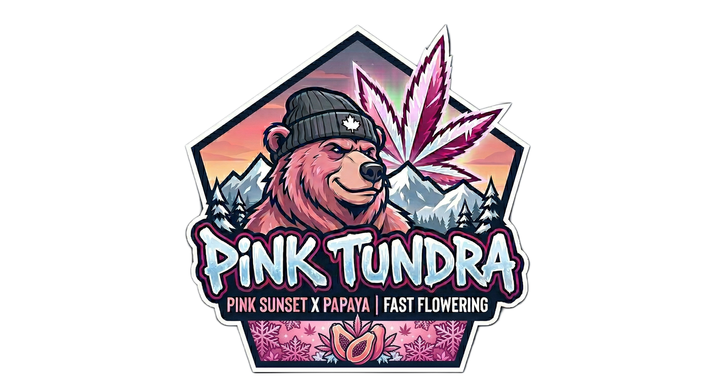 Bears Seeds Pink Tundra Fast Flower Fem 3 & 6ct Souvenir Pack