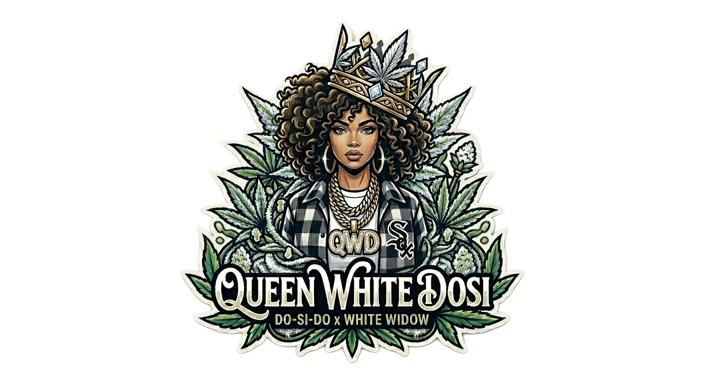 Rocky Moose Seed Bank: Queen White Dosi Auto Fem 5ct Souvenir Pack